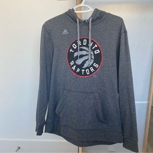 Raptors logo hoodie
